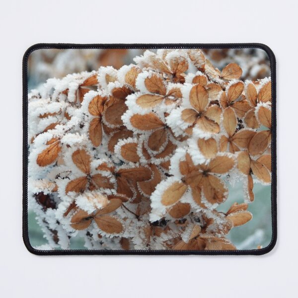 Item preview, Frosted Hydrangea Flower designed and sold by Debbie Center.