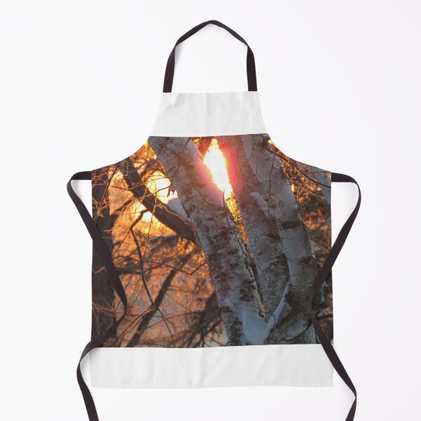 Item preview, Snowy Birch at Sunrise designed and sold by Debbie Center.