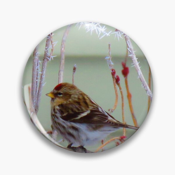 Item preview, Common Redpoll with Hoar Frost designed and sold by Debbie Center.