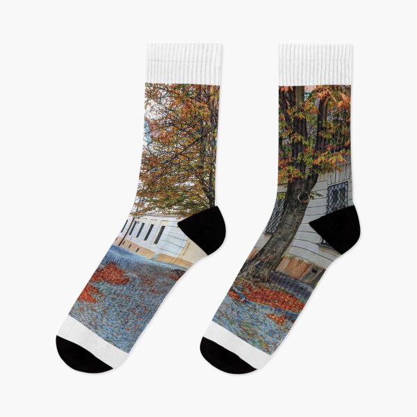 Item preview, Autumn in Győr designed and sold by zumi.