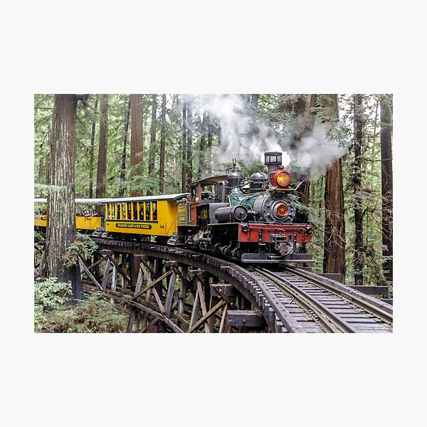 Item preview, Steam train passing through redwood forests. designed and sold by yhelfman.