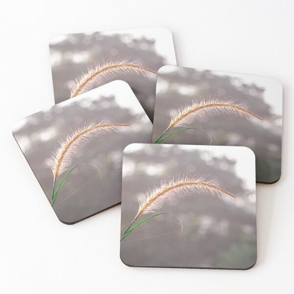 Item preview, Reed Grass with morning light designed and sold by sinseeho.