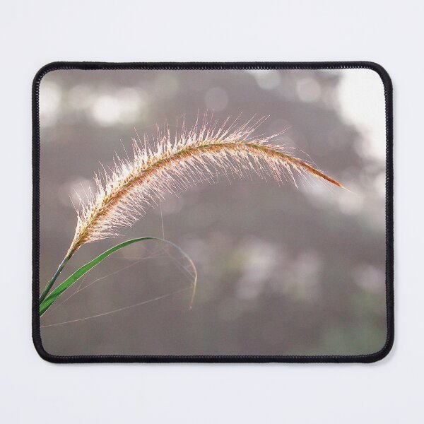 Item preview, Reed Grass with morning light designed and sold by sinseeho.