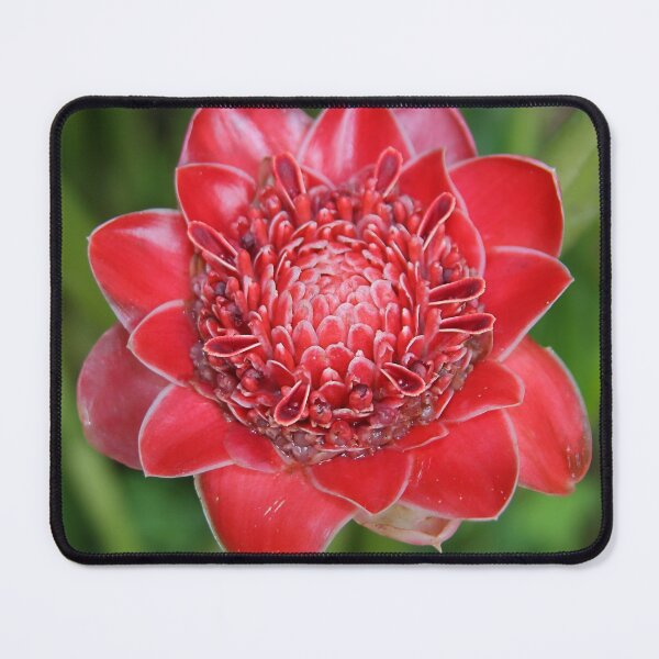 Item preview, Ginger Flower designed and sold by Carole-Anne.