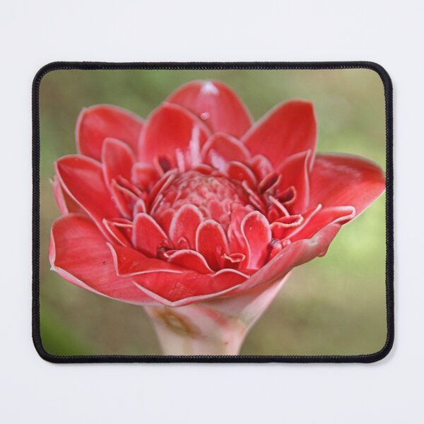 Item preview, Ginger Flower designed and sold by Carole-Anne.