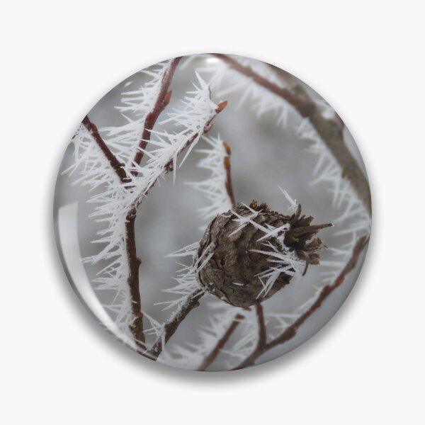 Item preview, Tamarack Pine Cone in Hoarfrost designed and sold by Debbie Center.