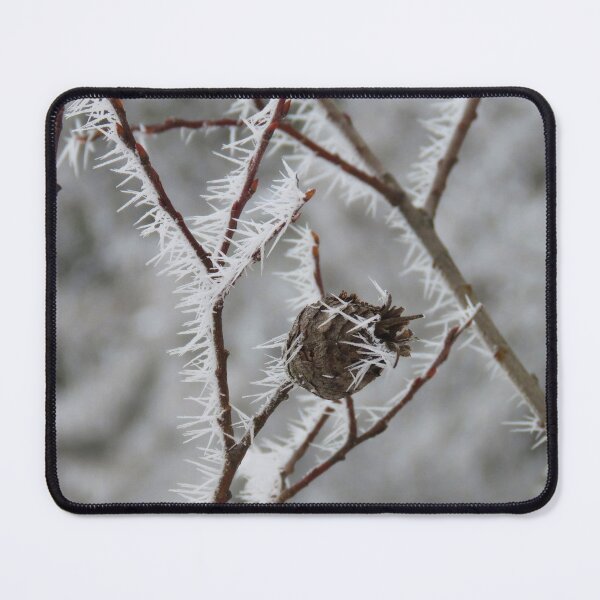 Item preview, Tamarack Pine Cone in Hoarfrost designed and sold by Debbie Center.