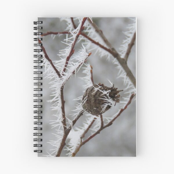 Item preview, Tamarack Pine Cone in Hoarfrost designed and sold by Debbie Center.