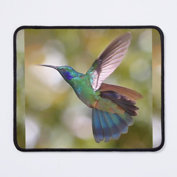 Item preview, Green Violetear Hummingbird designed and sold by Carole-Anne.