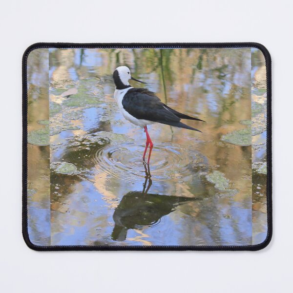 Item preview, Black-winged Stilt designed and sold by Carole-Anne.