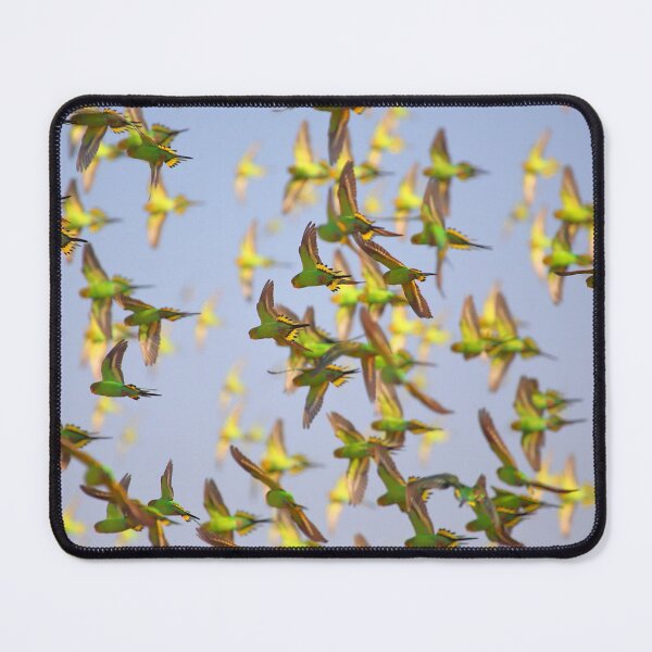Item preview, Budgerigars designed and sold by Carole-Anne.