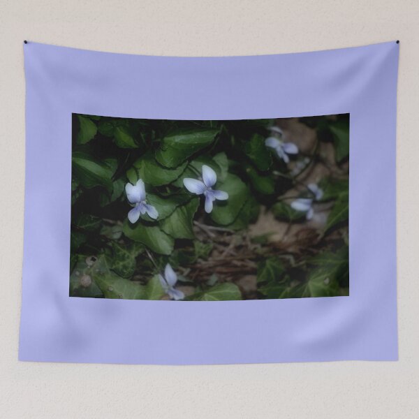 Item preview, Shy Wild White Violets in the Evening designed and sold by JariHawk.