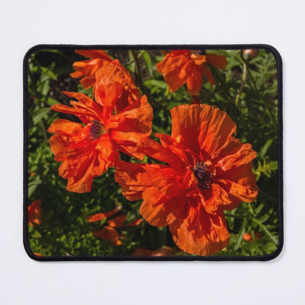 Item preview, Ruffled by the Wind - Silky Scarlet Poppies Bringing Summer Joy designed and sold by Georgia Mizuleva.