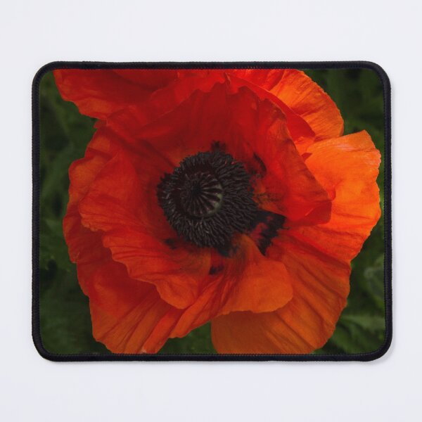 Item preview, Hot Red Poppy Duo - Vertical designed and sold by Georgia Mizuleva.