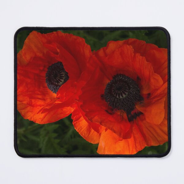 Item preview, Hot Red Poppy Duo - Horizontal designed and sold by Georgia Mizuleva.
