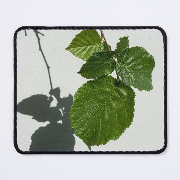 Item preview, Sophisticated Shadows - Glossy Hazelnut Leaves on White Stucco - Vertical View Down Left  designed and sold by Georgia Mizuleva.