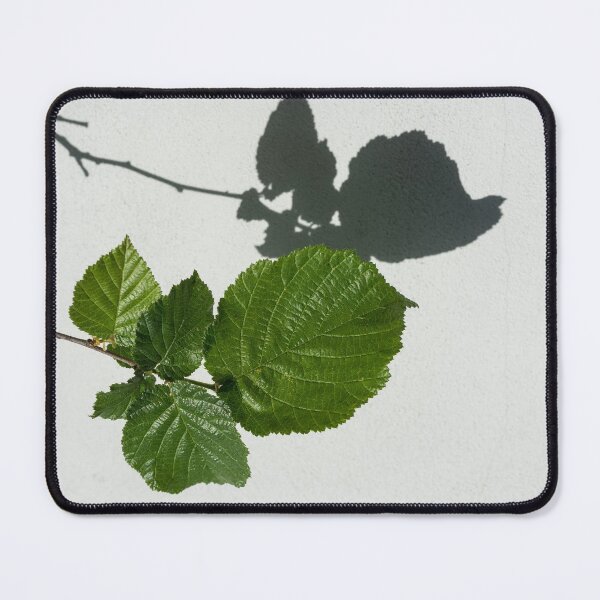Item preview, Sophisticated Shadows - Glossy Hazelnut Leaves on White Stucco - Horizontal View Left Down designed and sold by Georgia Mizuleva.