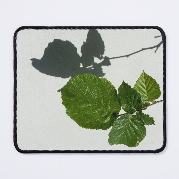 Item preview, Sophisticated Shadows - Glossy Hazelnut Leaves on White Stucco - Horizontal View Right Down designed and sold by Georgia Mizuleva.