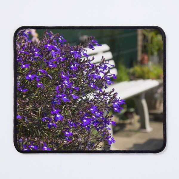 Item preview, Dutch Country Charm - Fabulous Purple Lobelia Flowers designed and sold by Georgia Mizuleva.