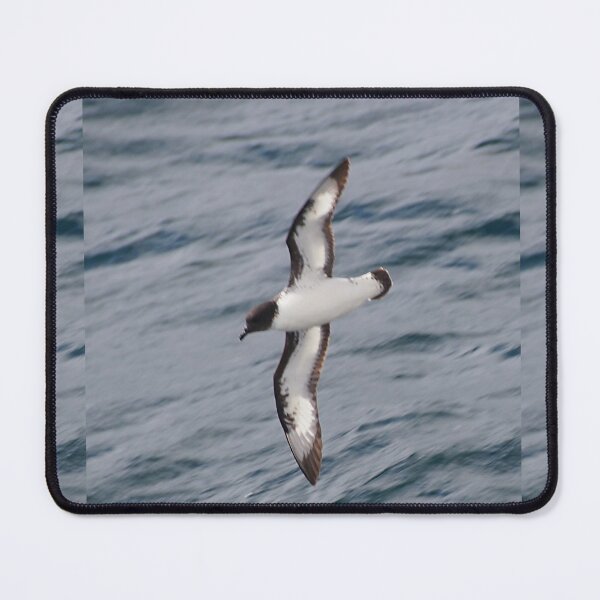 Item preview, Cape Petrel designed and sold by Carole-Anne.