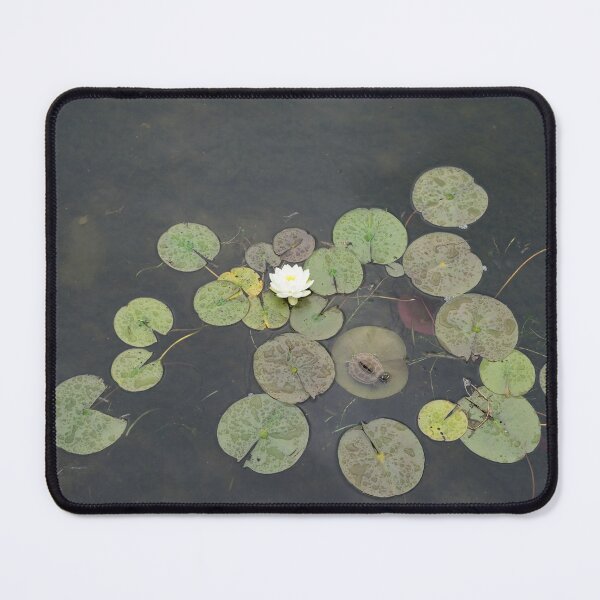 Item preview, Just Chillin - A Little Turtle Relaxing on a Waterlily Leaf designed and sold by Georgia Mizuleva.