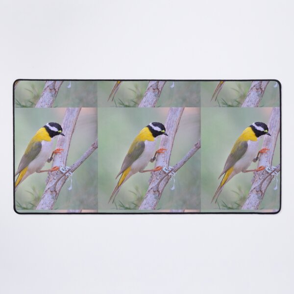 Item preview, Black-chinned Honeyeater designed and sold by Carole-Anne.