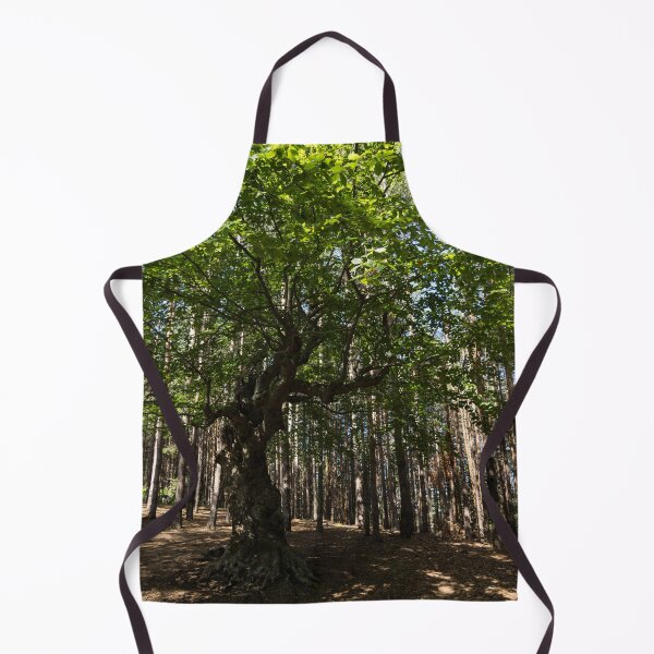 Item preview, Venerable Forest Guardian - an Ancient Beech Tree Guarding a Pine Forest designed and sold by Georgia Mizuleva.