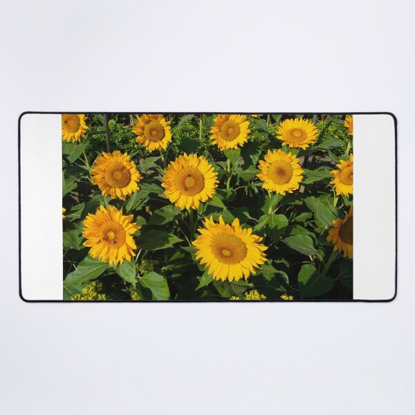 Sunny Sunflowers Desk Mat