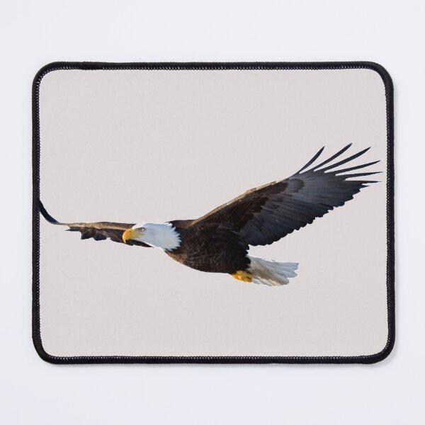 Item preview, Bald Eagle designed and sold by ConstantinoTees.