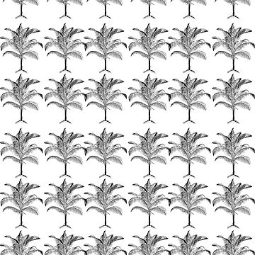 Tropical Coconut Palm Tree Sticker