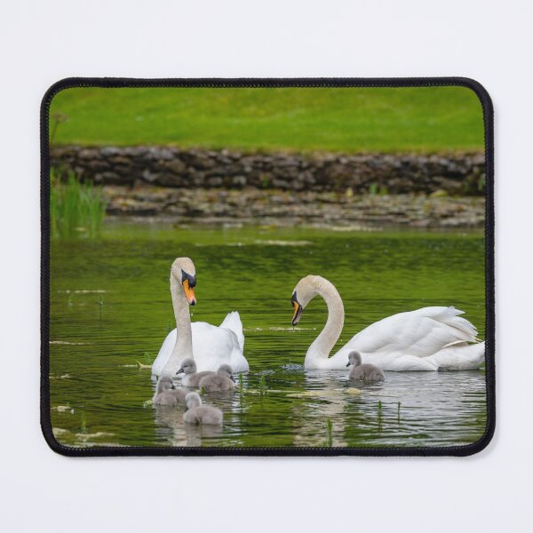 Item preview, FAMILY OF SWAN'S designed and sold by Spasija.