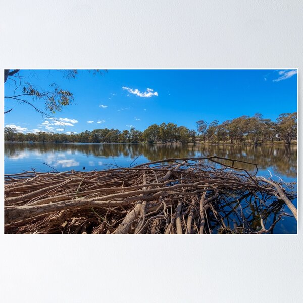 Kennington Reservoir - City of Greater Bendigo - Lake Poster
