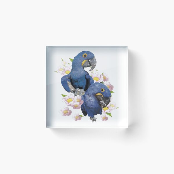 Item preview, Copy of Hyacinth Macaw designed and sold by obscurite.