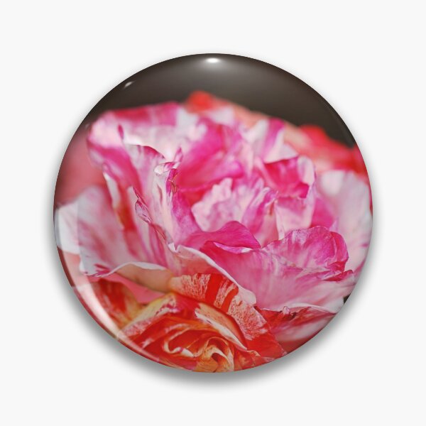 Item preview, Variegated Roses Delightful  designed and sold by Joy Watson - Natural Light Photography .