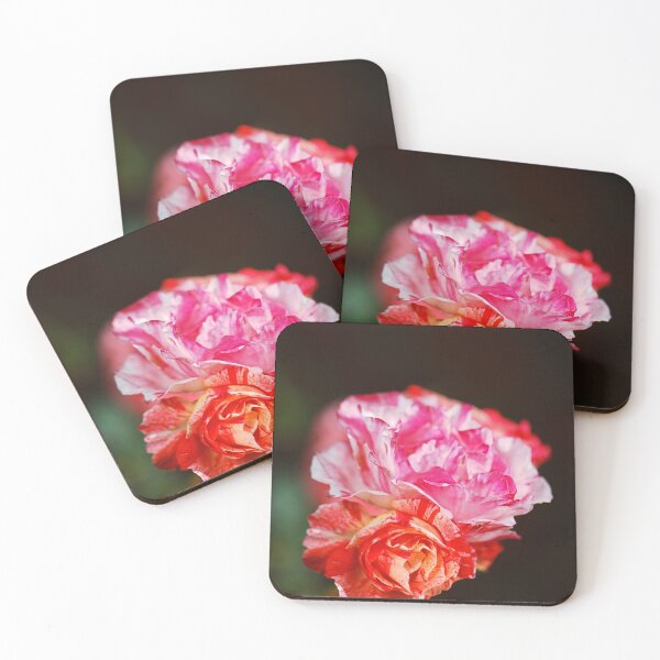 Item preview, Variegated Roses Delightful  designed and sold by Joy Watson - Natural Light Photography .