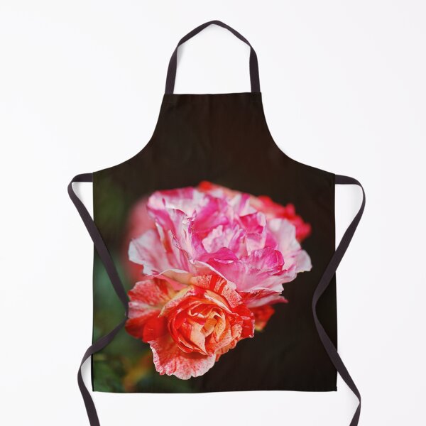 Item preview, Variegated Roses Delightful designed and sold by Joy Watson - Natural Light Photography .