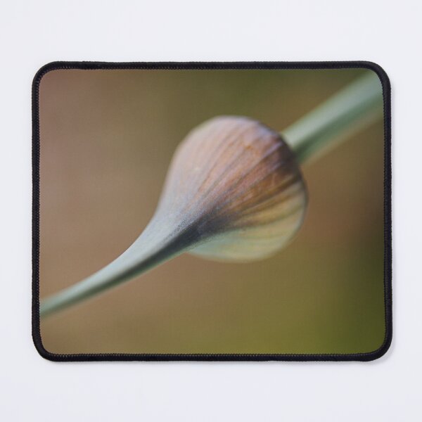 Item preview, Garlic Buds Sword designed and sold by Joy Watson - Natural Light Photography .