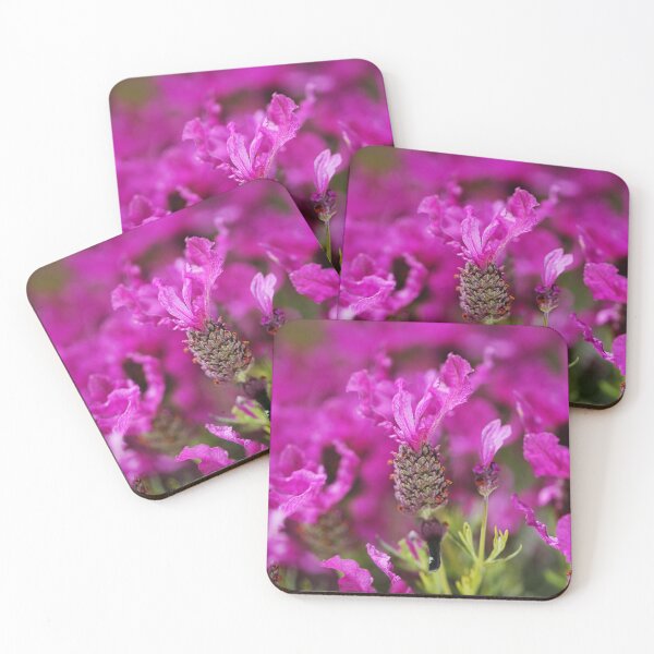 Item preview, Pink Lush  Lavender designed and sold by Joy Watson - Natural Light Photography .