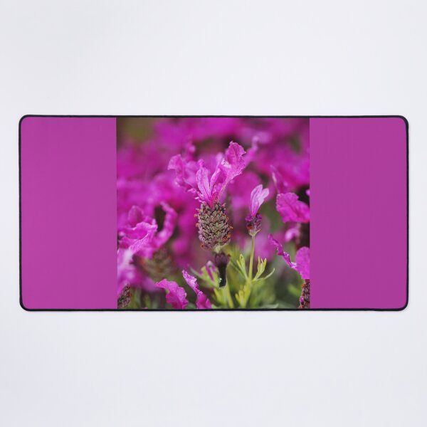 Item preview, Pink Lush Lavender designed and sold by Joy Watson - Natural Light Photography .