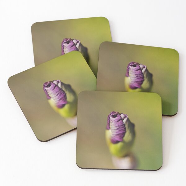 Item preview, The Short Iris Bud  designed and sold by Joy Watson - Natural Light Photography .