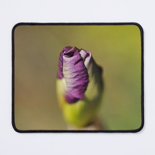 Item preview, The Short Iris Bud  designed and sold by Joy Watson - Natural Light Photography .