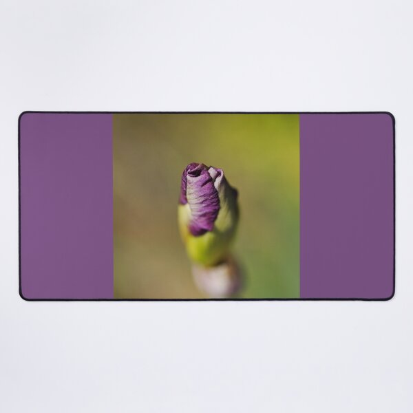 Item preview, The Short Iris Bud  designed and sold by Joy Watson - Natural Light Photography .