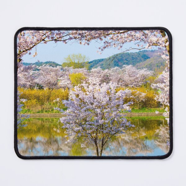Pink Cherry Blossoms Mouse Pad