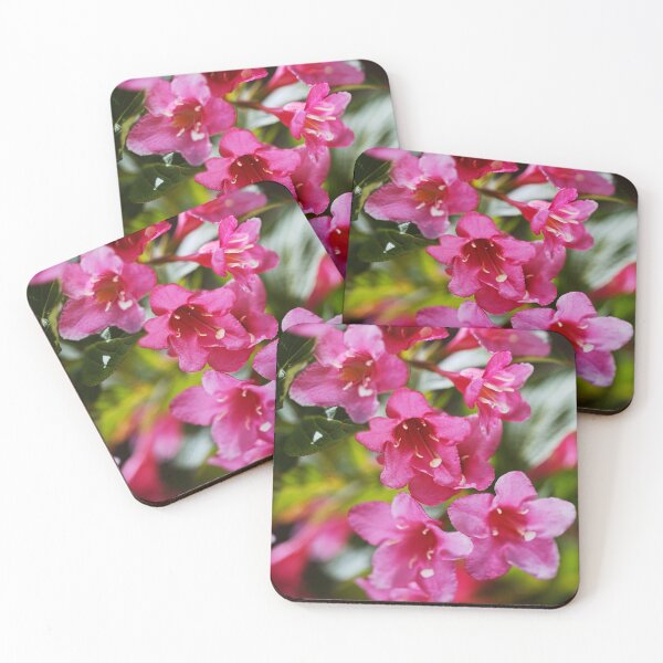 Item preview, Weigela Florida Flowers Pink designed and sold by Joy Watson - Natural Light Photography .