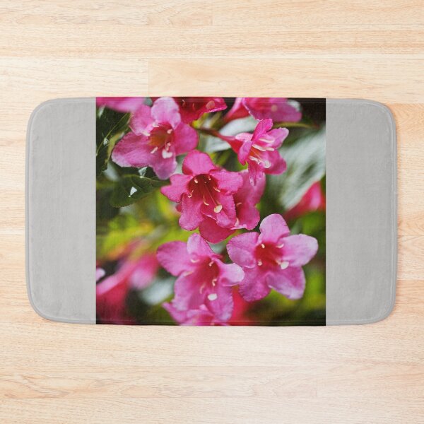 Item preview, Weigela Florida Flowers Pink designed and sold by Joy Watson - Natural Light Photography .