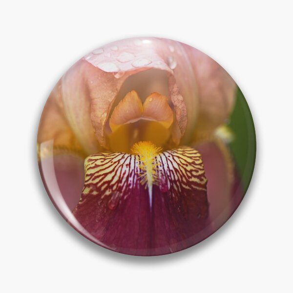 Item preview, Iris Flower Rain  designed and sold by Joy Watson - Natural Light Photography .