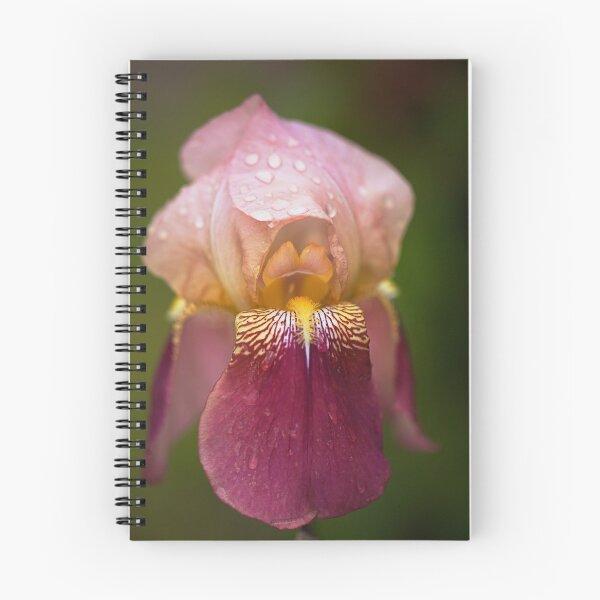 Item preview, Iris Flower Rain  designed and sold by Joy Watson - Natural Light Photography .