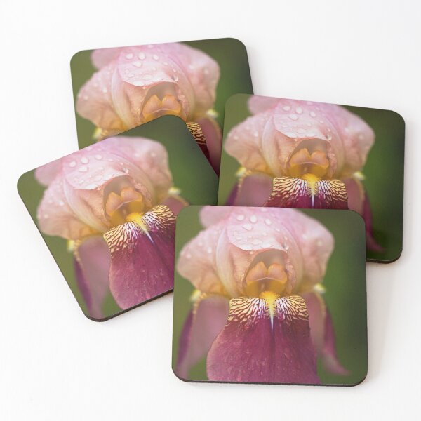 Item preview, Iris Flower Rain  designed and sold by Joy Watson - Natural Light Photography .