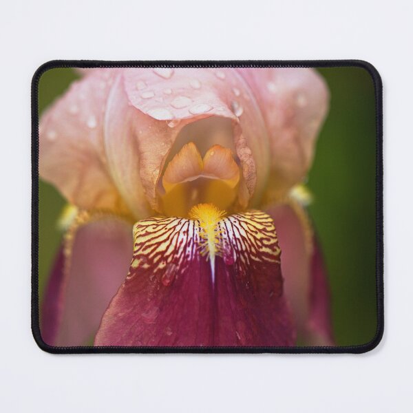 Item preview, Iris Flower Rain  designed and sold by Joy Watson - Natural Light Photography .