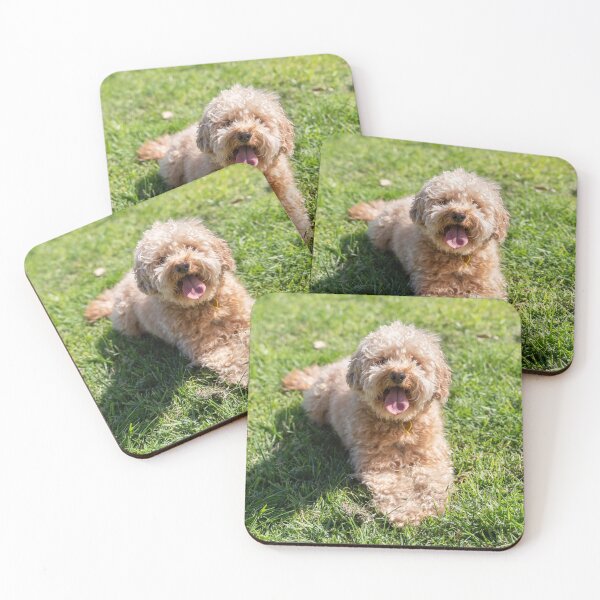 Item preview, Cavoodle designed and sold by Chris Kean.